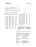 DOUBLE STRAND COMPOSITIONS COMPRISING DIFFERENTIALLY MODIFIED STRANDS FOR USE IN GENE MODULATION diagram and image