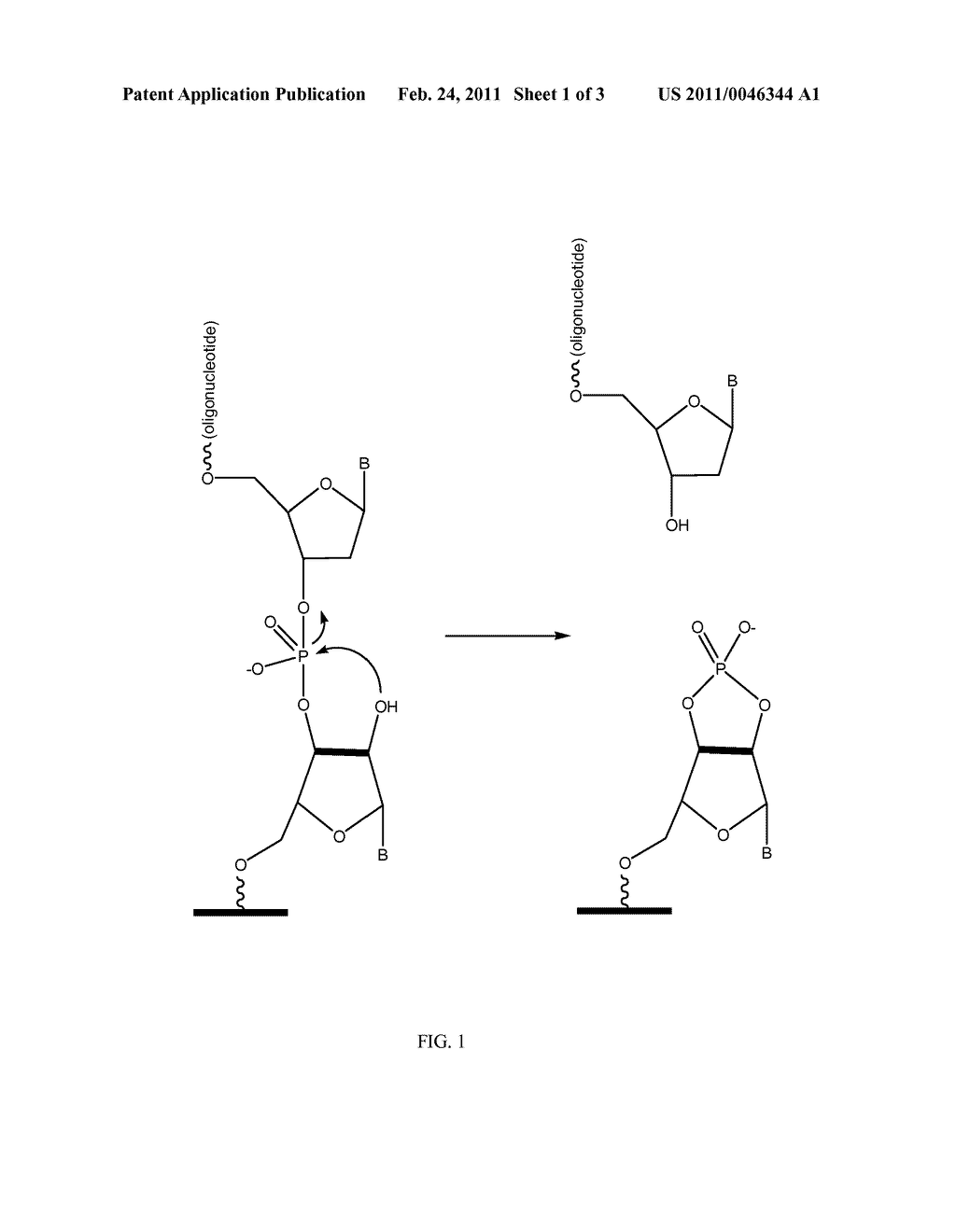 PARALLEL PREPARATION OF HIGH FIDELITY PROBES IN AN ARRAY FORMAT - diagram, schematic, and image 02