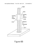 LENGTH-ADJUSTABLE NANOSCALE TETHER FOR BINDING TARGETS TO SUBSTRATES diagram and image