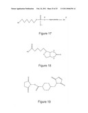 LENGTH-ADJUSTABLE NANOSCALE TETHER FOR BINDING TARGETS TO SUBSTRATES diagram and image