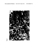 TETRAHYDROPYRIDOETHERS FOR TREATMENT OF AMD diagram and image