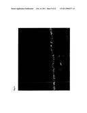 TETRAHYDROPYRIDOETHERS FOR TREATMENT OF AMD diagram and image