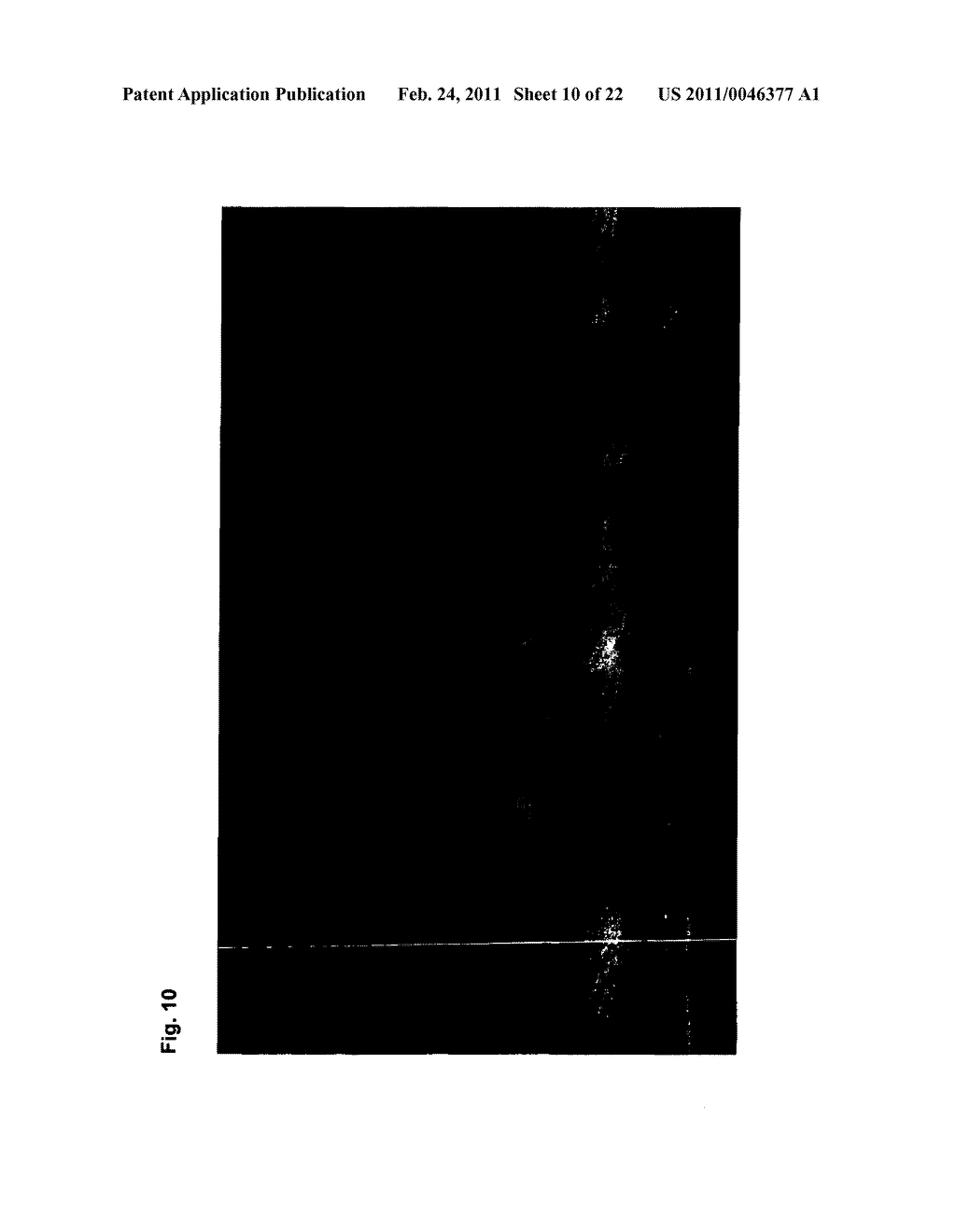 TETRAHYDROPYRIDOETHERS FOR TREATMENT OF AMD - diagram, schematic, and image 11