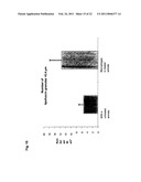 TETRAHYDROPYRIDOETHERS FOR TREATMENT OF AMD diagram and image