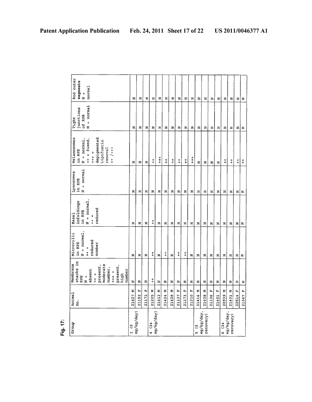 TETRAHYDROPYRIDOETHERS FOR TREATMENT OF AMD - diagram, schematic, and image 18