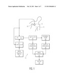 DUAL MODE ULTRASOUND TRANSDUCER diagram and image