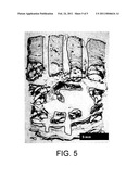 APPARATUS AND METHOD FOR FAT REMOVAL diagram and image