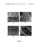 STRUCTURALLY MODIFIED ACELLULAR TISSUE ENGINEERING SCAFFOLDS AND METHODS OF PRODUCTION diagram and image