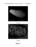 STRUCTURALLY MODIFIED ACELLULAR TISSUE ENGINEERING SCAFFOLDS AND METHODS OF PRODUCTION diagram and image