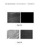 STRUCTURALLY MODIFIED ACELLULAR TISSUE ENGINEERING SCAFFOLDS AND METHODS OF PRODUCTION diagram and image