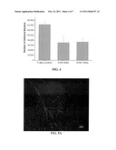 ANTIBACTERIAL SURFACE AND METHOD OF FABRICATION diagram and image