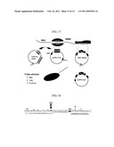 METHODS AND COMPOSITIONS FOR TRANSPOSON-MEDIATED TRANSGENESIS diagram and image