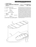 Orthotic insert system diagram and image