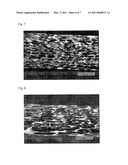 BLOW-MOLDED FOAM AND PROCESS FOR PRODUCING THE SAME diagram and image