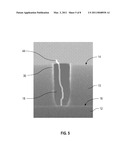 SELECTIVE NANOTUBE GROWTH INSIDE VIAS USING AN ION BEAM diagram and image