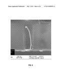 SELECTIVE NANOTUBE GROWTH INSIDE VIAS USING AN ION BEAM diagram and image