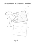 NANOSTRUCTURED SORBENT MATERIALS FOR CAPTURING ENVIRONMENTAL MERCURY VAPOR diagram and image