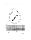 ION GUIDING DEVICE diagram and image