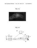 FLUORESCENT IMAGE OBTAINING DEVICE, FLUORESCENT IMAGE OBTAINING METHOD AND FLUORESCENT IMAGE OBTAINING PROGRAM diagram and image