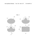 METHOD OF MAKING CERAMIC BODIES HAVING REDUCED SHAPE VARIABILITY diagram and image