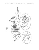 LIQUID CRYSTAL DISPLAY APPARATUS AND BACK LIGHT APPARATUS diagram and image