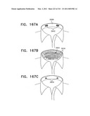 Biologically fit wearable electronics apparatus and methods diagram and image