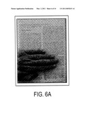 METHOD AND APPARATUS FOR NAVIGATING AN ELECTRONIC MAGNIFIER OVER A TARGET DOCUMENT diagram and image