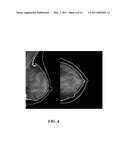 SYSTEM FOR IMAGING PATHWAY VERIFICATION diagram and image