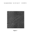 METHOD FOR PREPARING CARBON NANOTUBES, CARBON NANOTUBE FILMS, AND ELECTRONIC DEVICES diagram and image