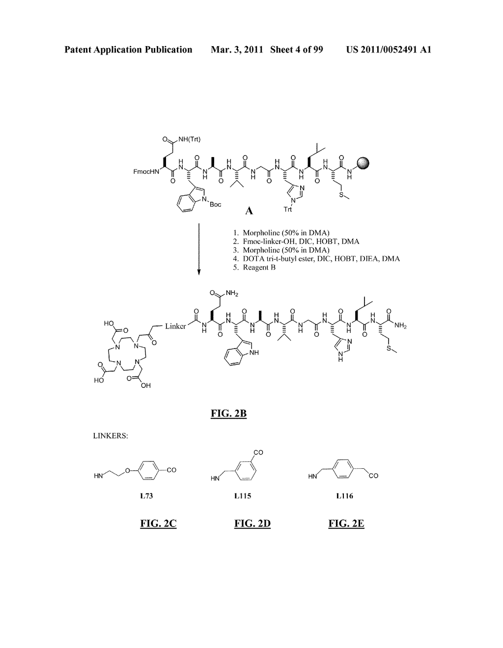 GASTRIN RELEASING PEPTIDE COMPOUNDS - diagram, schematic, and image 05