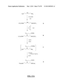 GASTRIN RELEASING PEPTIDE COMPOUNDS diagram and image