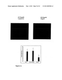 TAJ in Neuronal Function diagram and image