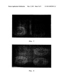 BIODEGRADABLE CONTRAST AGENTS diagram and image