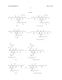 BIODEGRADABLE CONTRAST AGENTS diagram and image