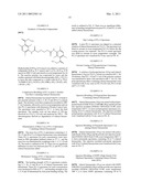 BIODEGRADABLE CONTRAST AGENTS diagram and image