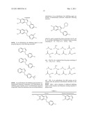 METHODS OF TREATING A FLAVIVIRIDAE FAMILY VIRAL INFECTION AND COMPOSITIONS FOR TREATING A FLAVIVIRIDAE FAMILY VIRAL INFECTION diagram and image