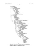 NITRO-BASED EXPLOSIVE REMEDIATION diagram and image