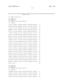 NOVEL BACTERIOPHAGE AND ANTIBACTERIAL COMPOSITION COMPRISING THE SAME diagram and image