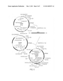 METHOD FOR TREATING IDIOPATHIC THROMBOCYTOPENIC PURPURA USING MONOCLONAL ANTIBODIES diagram and image