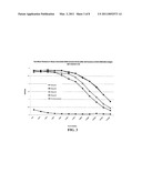 14-3-3 ETA Antibodies and Uses Thereof for the Diagnosis and Treatment of Arthritis diagram and image