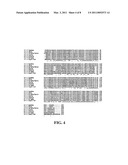 14-3-3 ETA Antibodies and Uses Thereof for the Diagnosis and Treatment of Arthritis diagram and image