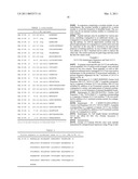 14-3-3 ETA Antibodies and Uses Thereof for the Diagnosis and Treatment of Arthritis diagram and image