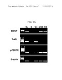 Facilitation of Oocyte, Zygote and Pre-Implantation Embryo Maturation diagram and image