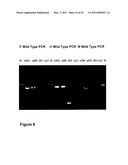 RECOMBINANT MODIFIED VACCINIA VIRUS MEASLES VACCINE diagram and image