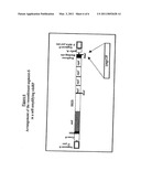 Recombinant Double-Stranded RNA Phage, and Use of the Same diagram and image