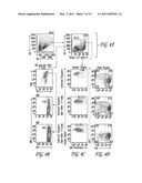 INDUCTION OF PROLIFERATION, EFFECTOR MOLECULE EXPRESSION, AND CYTOLYTIC CAPACITY OF HIV-SPECIFIC CD8+ T CELLS diagram and image