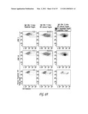 INDUCTION OF PROLIFERATION, EFFECTOR MOLECULE EXPRESSION, AND CYTOLYTIC CAPACITY OF HIV-SPECIFIC CD8+ T CELLS diagram and image