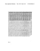 HYPOALLERGENIC HYBRID PROTEINS OF MAJOR GROUP 1 AND 2 MITE ALLERGENS FOR USE IN THE TREATMENT OF ALLERGIES diagram and image