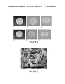 CERAMIC SCAFFOLDS FOR BONE REPAIR diagram and image