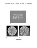 CERAMIC SCAFFOLDS FOR BONE REPAIR diagram and image